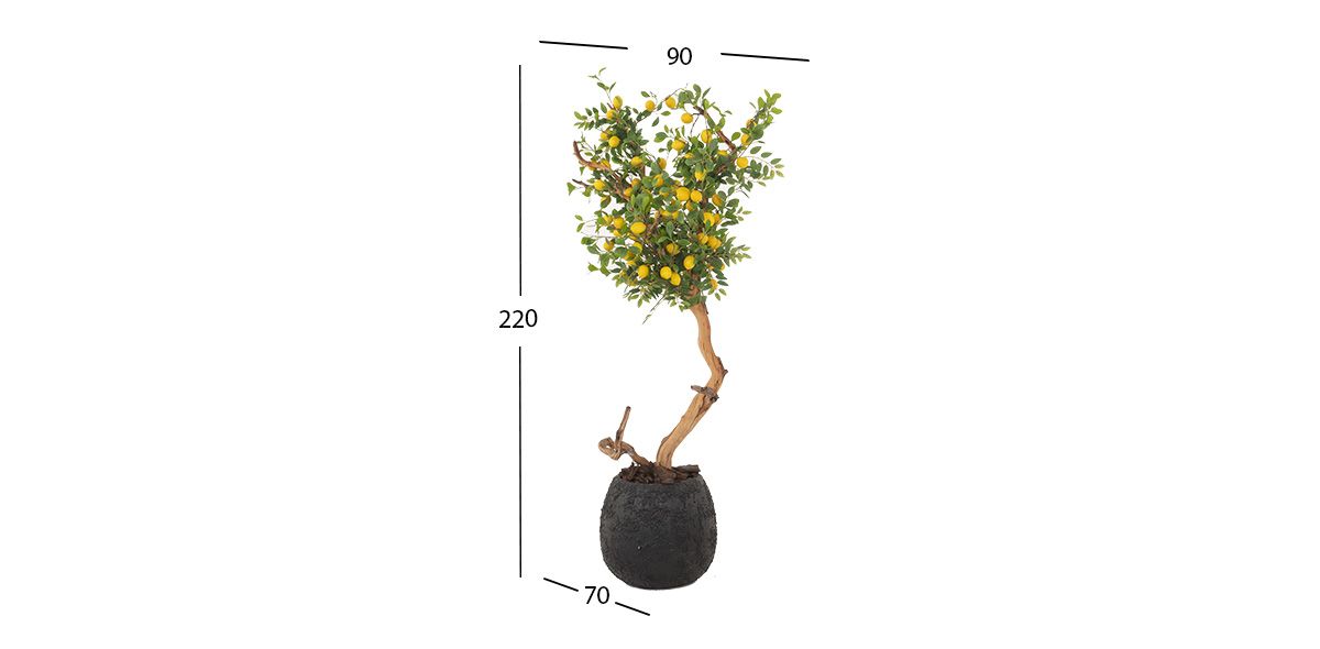 Árbol Decorativo Limon Amarillo