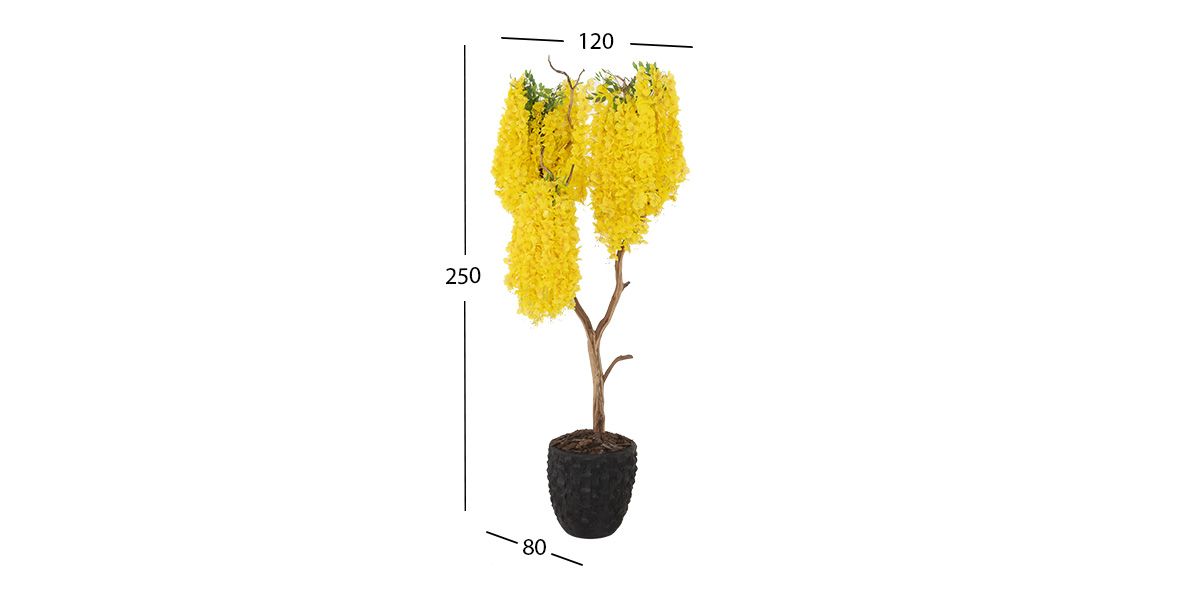 Árbol Decorativo Guayacan Amarillo