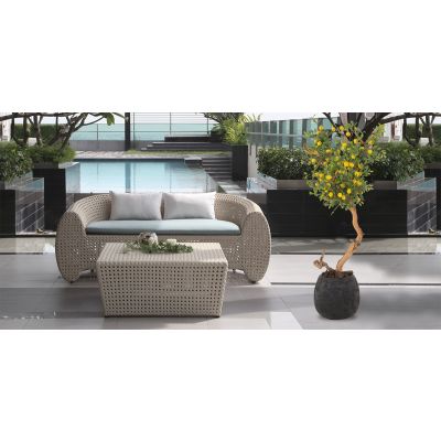 Árbol Decorativo Limon Amarillo