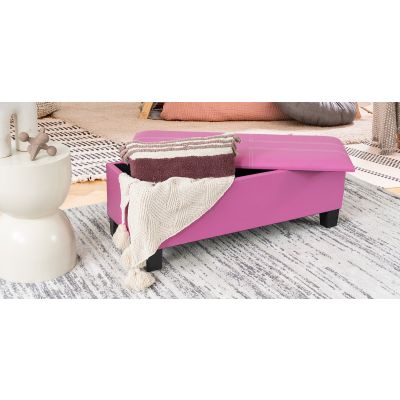 Banca Baúl Ecko ll Rosa