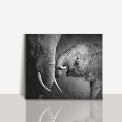 Cuadro Decorativo 180 X 120 cm Familia de Elefantes Lienzo Negro