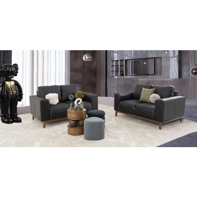 Sala Piel Littio Negro 2 Piezas
